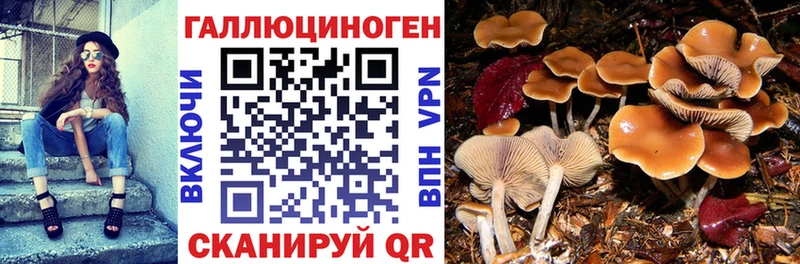 Галлюциногенные грибы прущие грибы  цены наркотик  Катав-Ивановск 